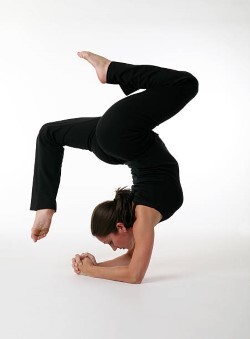 yoga 250